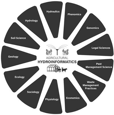 Agricultural Hydroinformatics: A Blueprint for an Emerging Framework to Foster Water Management-Centric Sustainability Transitions in Farming Systems